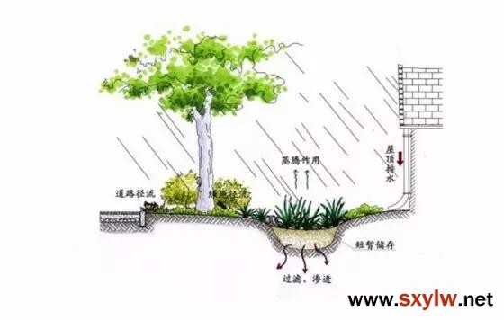 雨水花園就應該這樣做