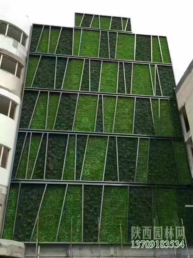 鎮江綠植墻仿真植物,綠植墻
