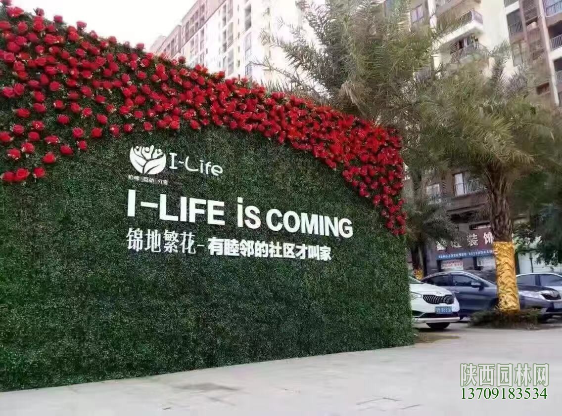 鎮江綠植墻仿真植物,綠植墻