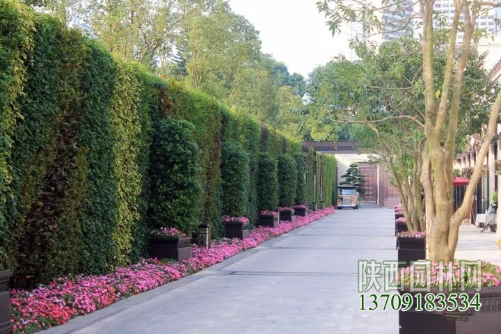 塑料花草裝飾綠植墻價格