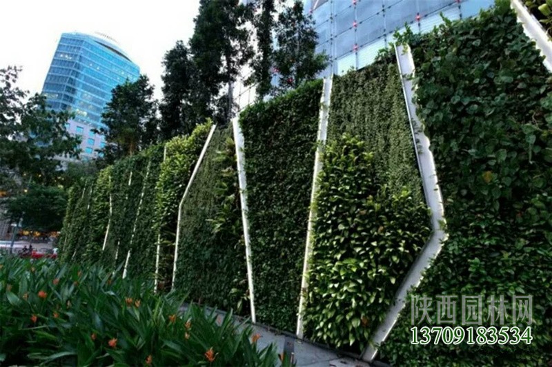 花園植物墻