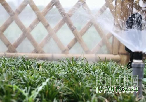 智能節水灌溉