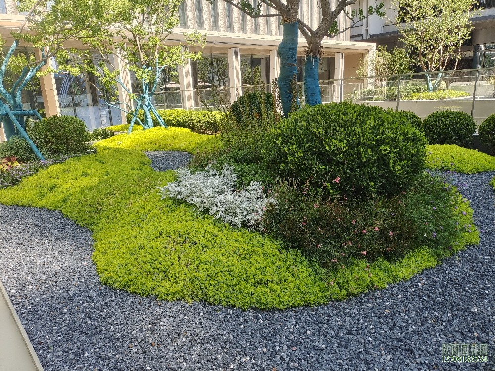 售樓部景觀