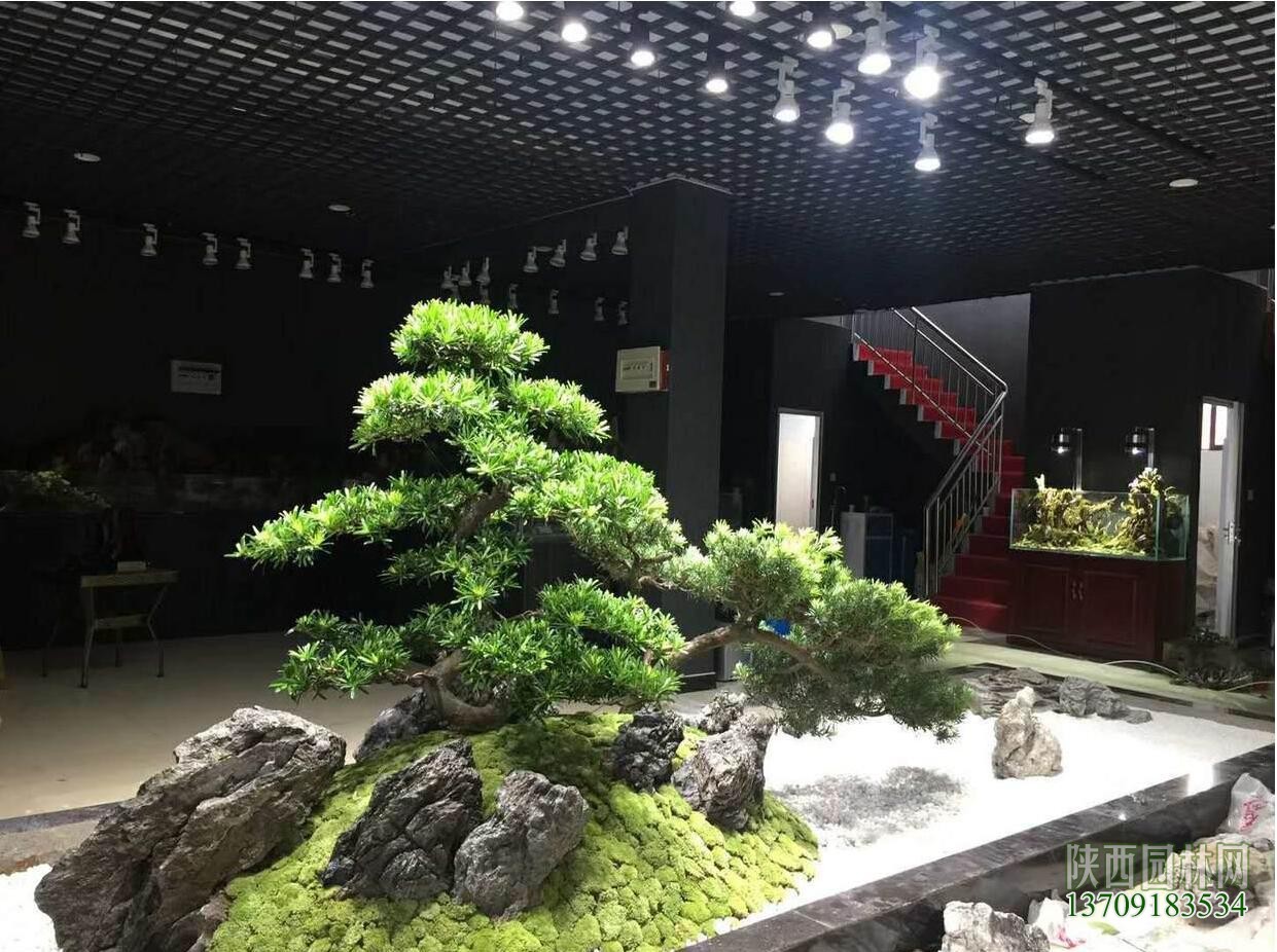 店室內景觀